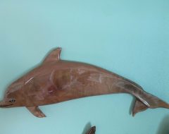 32″ Camphor Wood Bottle Nose Dolphin, Porpoise Sculpture