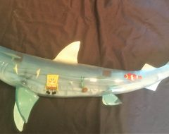 LED Light Up Taxidermy Shark Sculpture