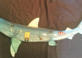 LED Light Up Taxidermy Shark Sculpture