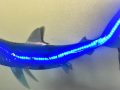 LED Light Up Fish Taxidermy Shark Sculpture