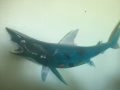 LED Light Up Fish Taxidermy Shark Sculpture