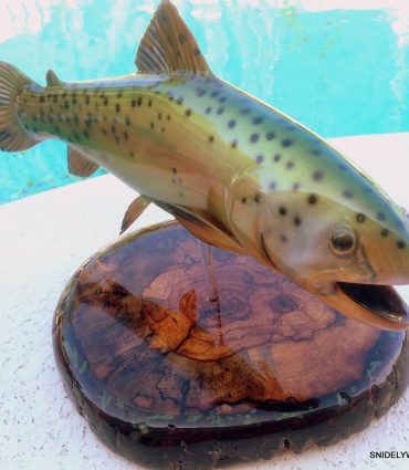 20″ Cypress Wood Rainbow Trout Full Mount Trophy