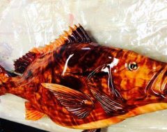 Red Snapper Fish Red Cedar Wood Carving