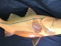 Red Cypress Wood Snook Fish Carving