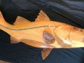 Red Cypress Wood Snook Fish Carving