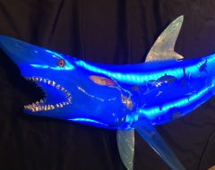 LED Light Up Fish Taxidermy Shark Sculpture