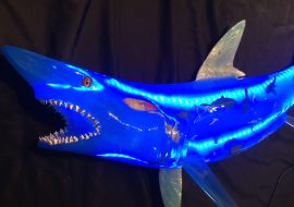 LED Light Up Fish Taxidermy Shark Sculpture