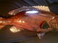 Wood Grouper Fish Carving/Sculpture