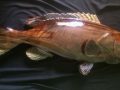 Wood Grouper Fish Carving/Sculpture